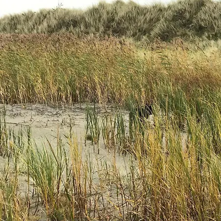 Ferienhaus 4 Person In Laeso-by Traum *