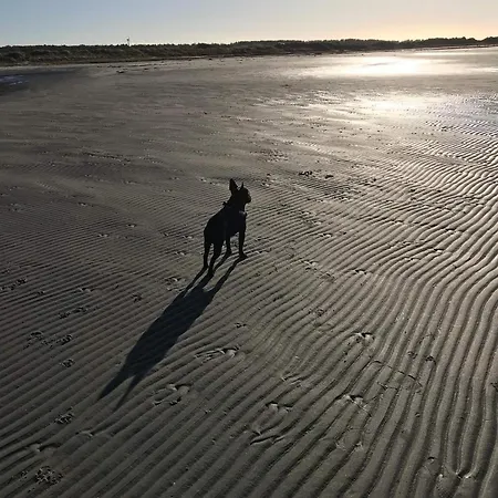 Ferienhaus 4 Person In Laeso-by Traum *